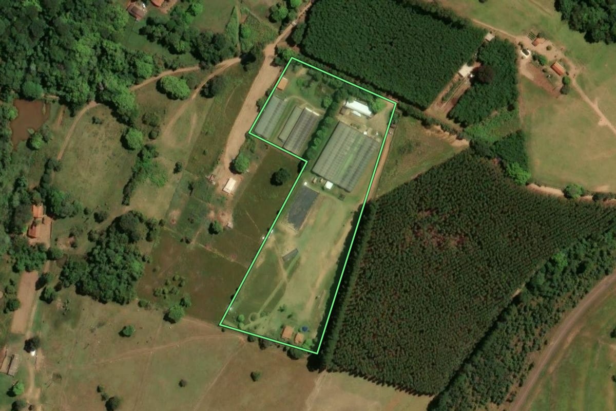 Imagem de satélite do imóvel rural em Itirapina (SP), com o contorno declarado no CAR desenhado por cima.