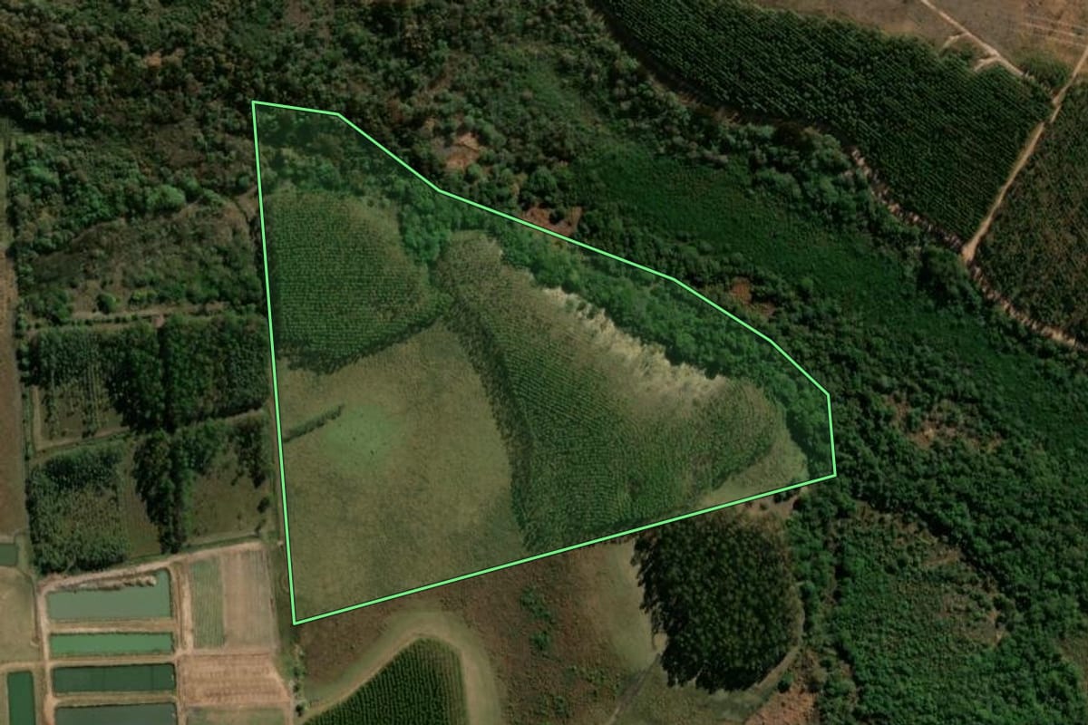 Imagem de satélite do imóvel rural em Itirapina (SP), com o contorno declarado no CAR desenhado por cima.