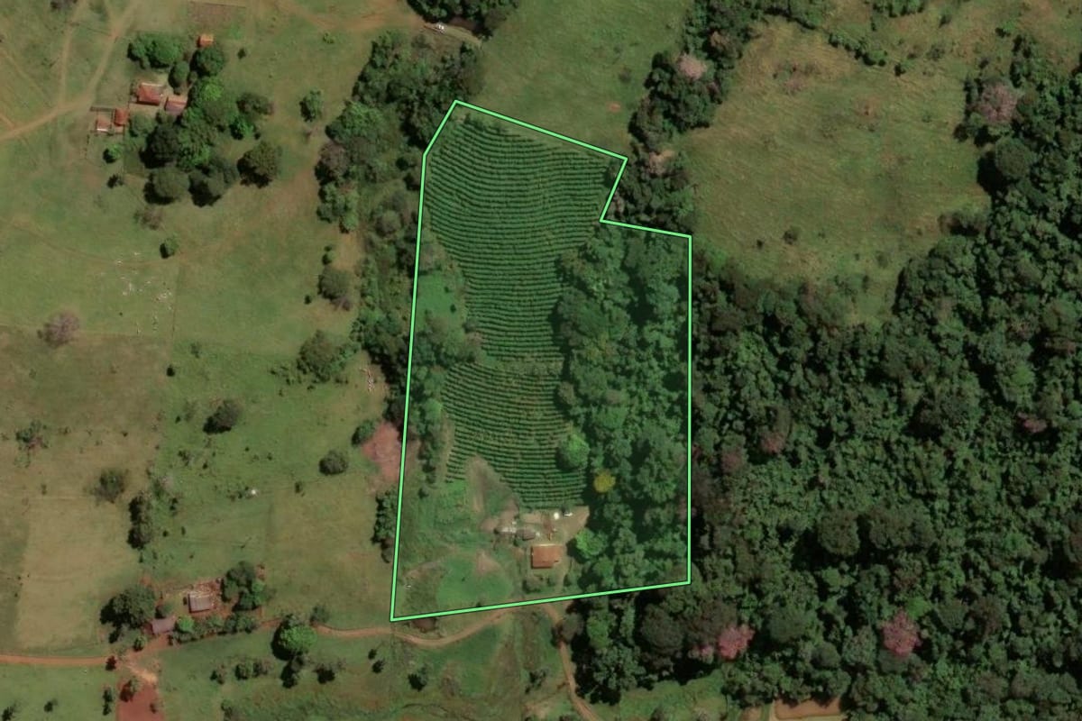 Imagem de satélite do imóvel rural em Itirapuã (SP), com o contorno declarado no CAR desenhado por cima.