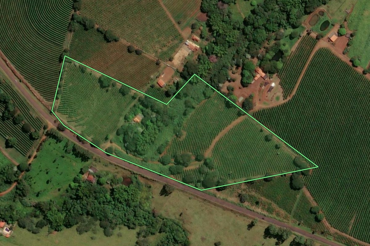Imagem de satélite do imóvel rural em Itirapuã (SP), com o contorno declarado no CAR desenhado por cima.