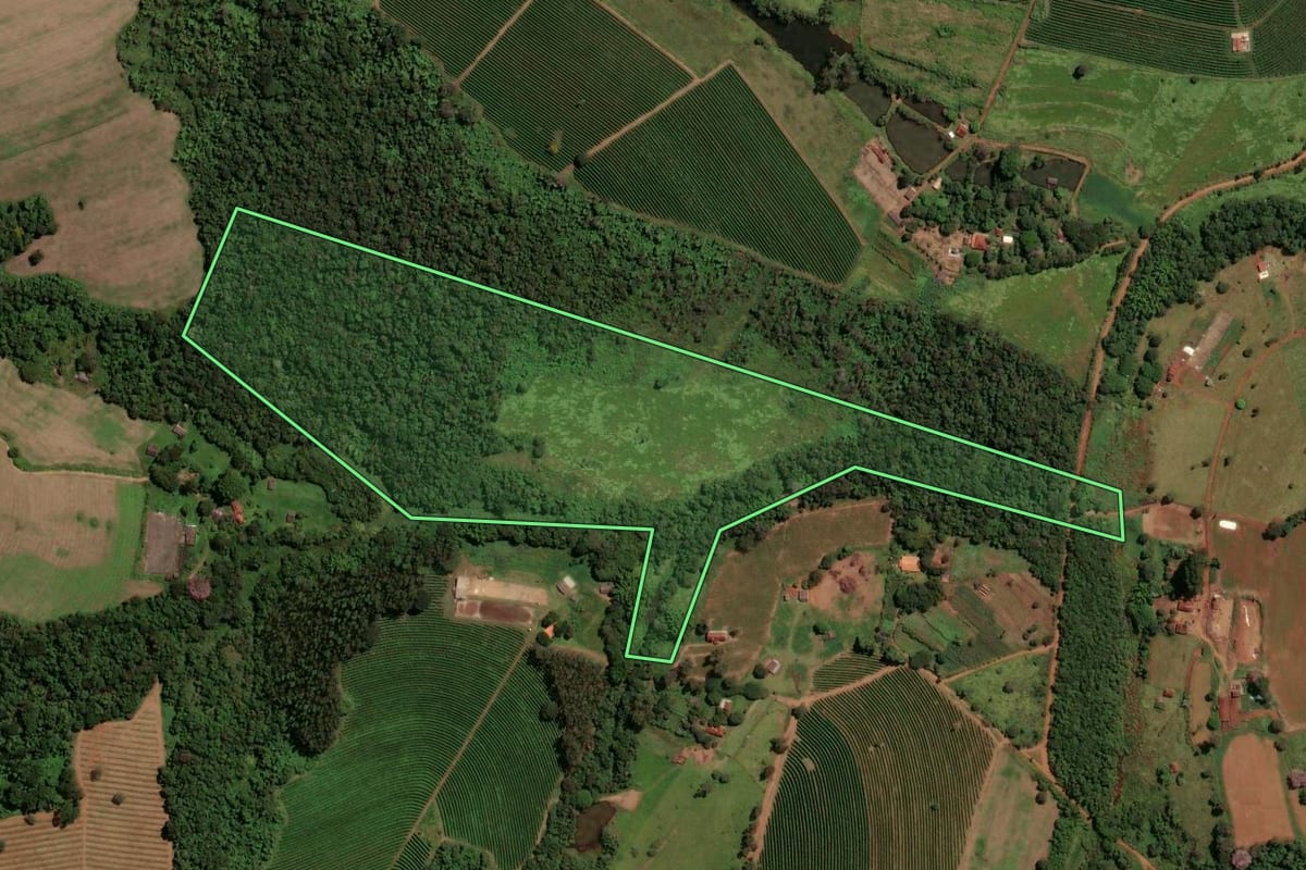 Imagem de satélite do imóvel rural em Itirapuã (SP), com o contorno declarado no CAR desenhado por cima.