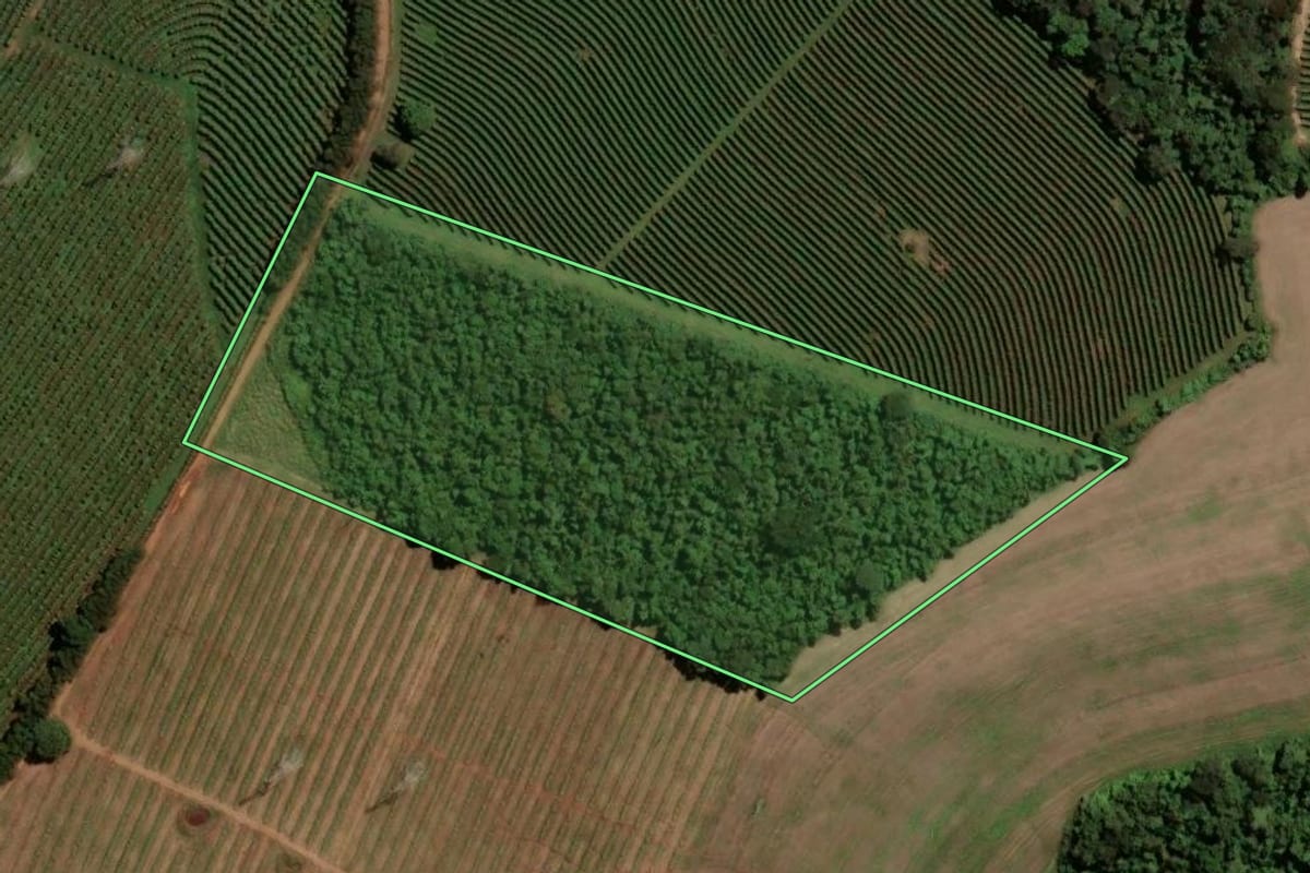 Imagem de satélite do imóvel rural em Itirapuã (SP), com o contorno declarado no CAR desenhado por cima.