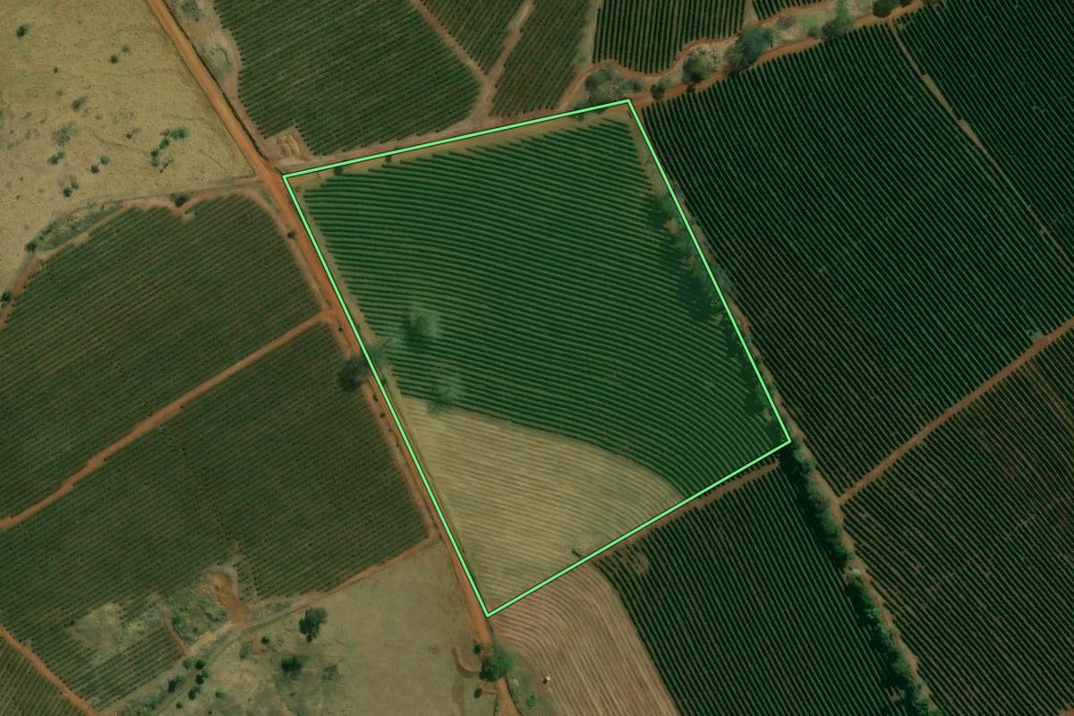 Imagem de satélite do imóvel rural em Itirapuã (SP), com o contorno declarado no CAR desenhado por cima.