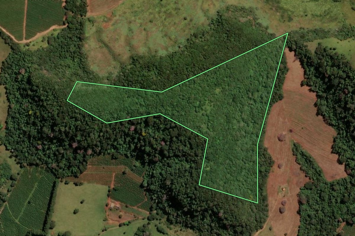 Imagem de satélite do imóvel rural em Itirapuã (SP), com o contorno declarado no CAR desenhado por cima.