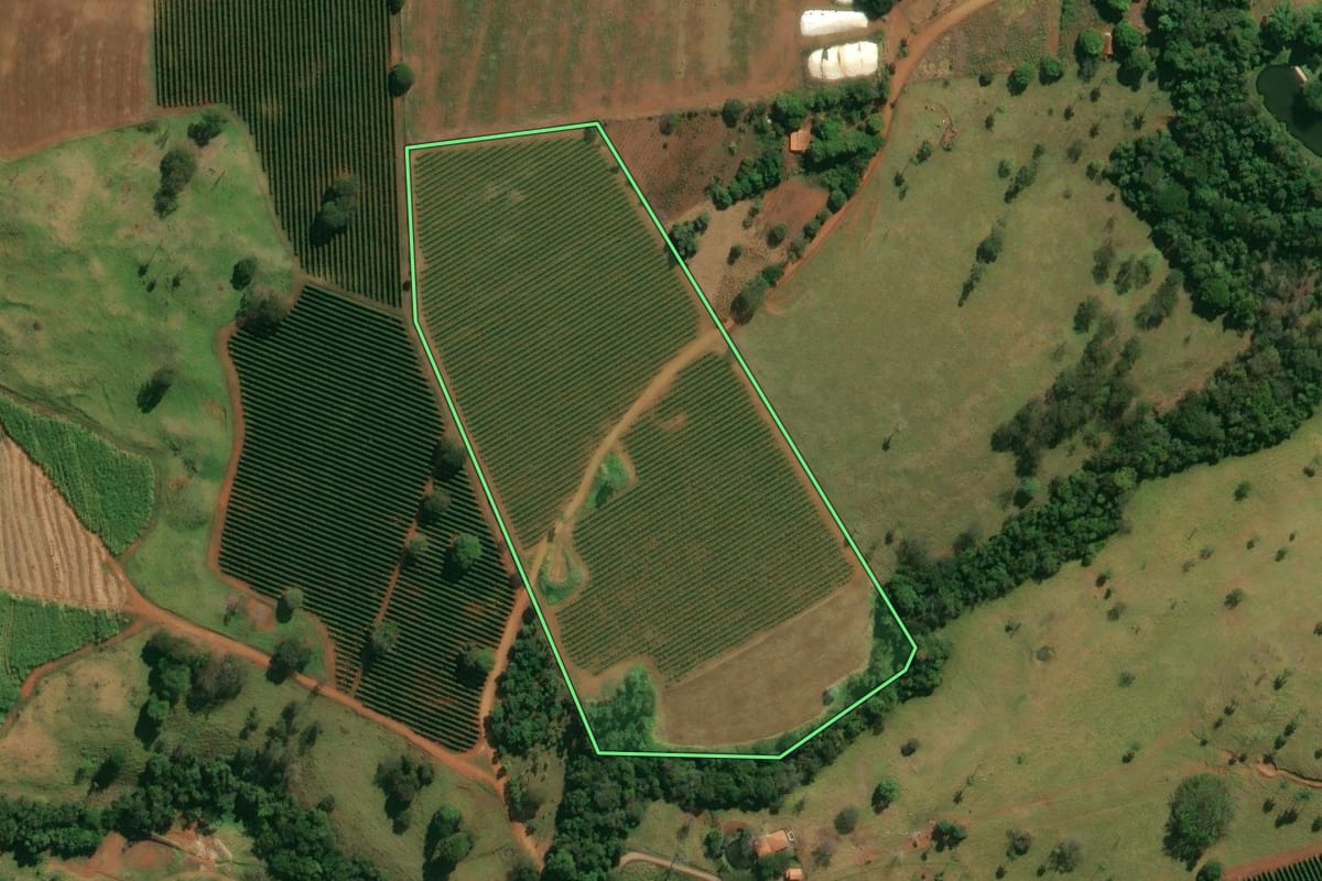 Imagem de satélite do imóvel rural em Itirapuã (SP), com o contorno declarado no CAR desenhado por cima.