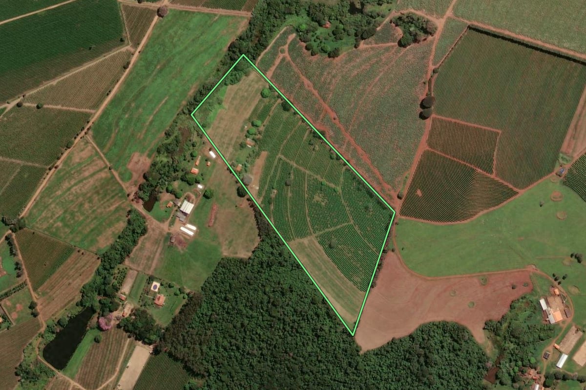Imagem de satélite do imóvel rural em Itirapuã (SP), com o contorno declarado no CAR desenhado por cima.