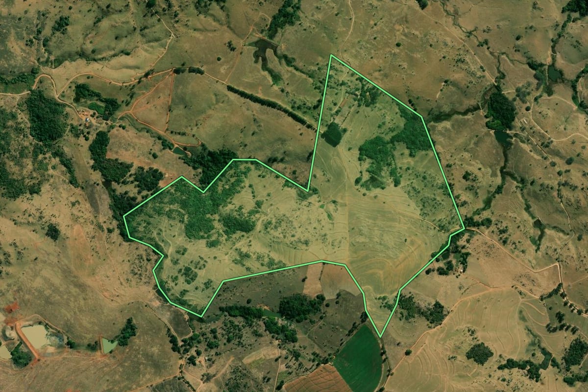 Imagem de satélite do imóvel rural em Itobi (SP), com o contorno declarado no CAR desenhado por cima.