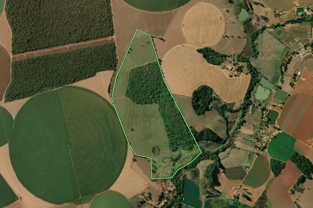 Imagem de satélite do imóvel rural em Itobi (SP), com o contorno declarado no CAR desenhado por cima.