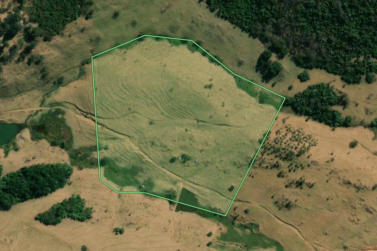 Imagem de satélite do imóvel rural em Itobi (SP), com o contorno declarado no CAR desenhado por cima.
