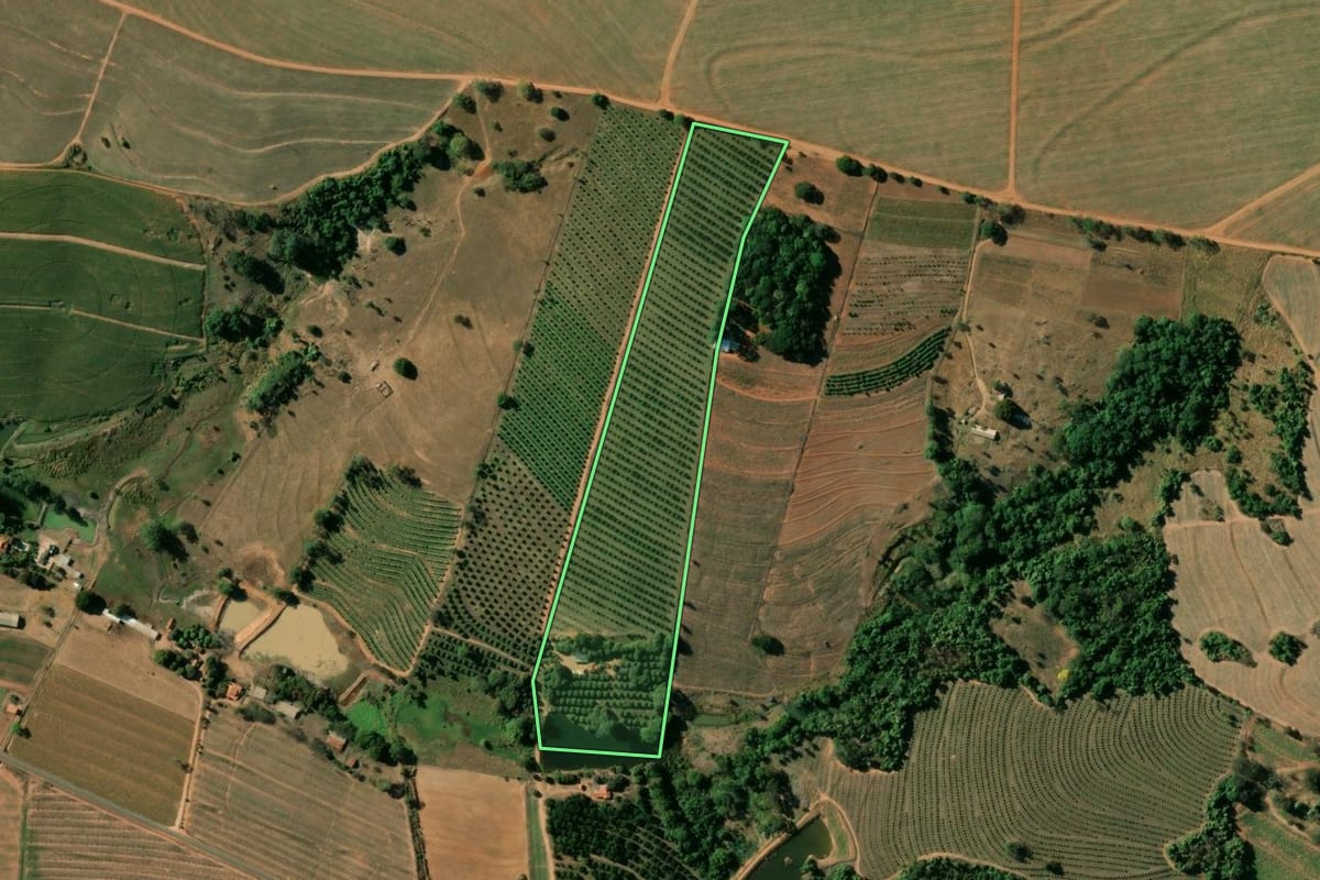 Imagem de satélite do imóvel rural em Itobi (SP), com o contorno declarado no CAR desenhado por cima.