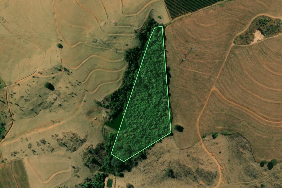 Imagem de satélite do imóvel rural em Itobi (SP), com o contorno declarado no CAR desenhado por cima.