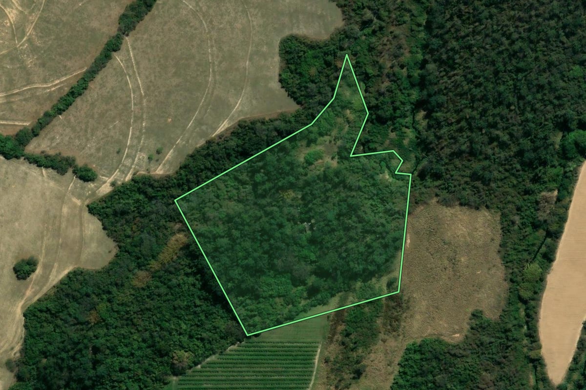 Imagem de satélite do imóvel rural em Itu (SP), com o contorno declarado no CAR desenhado por cima.