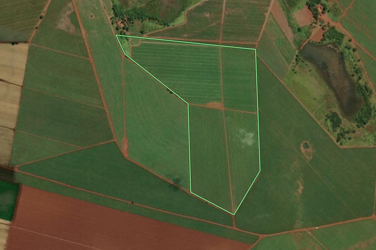 Imagem de satélite do imóvel rural em Ituverava (SP), com o contorno declarado no CAR desenhado por cima.