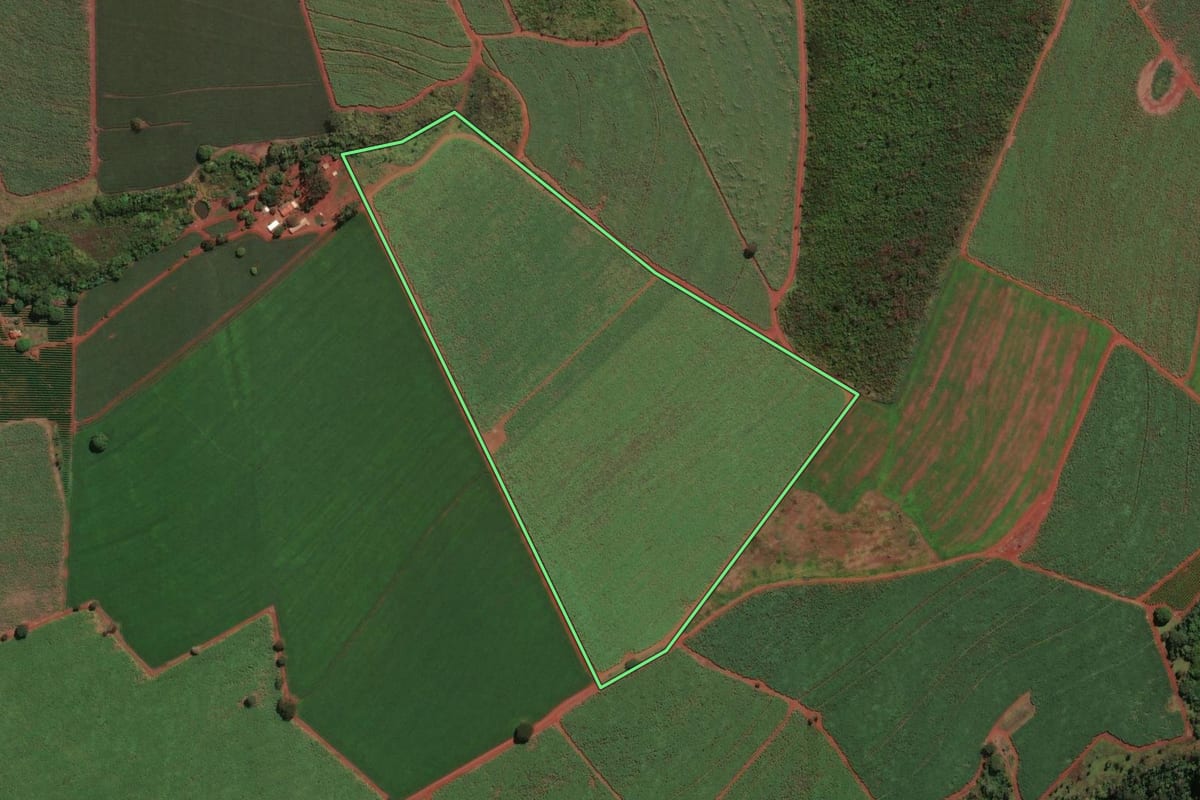 Imagem de satélite do imóvel rural em Ituverava (SP), com o contorno declarado no CAR desenhado por cima.