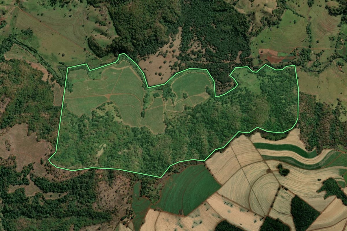 Imagem de satélite do imóvel rural em Ituverava (SP), com o contorno declarado no CAR desenhado por cima.