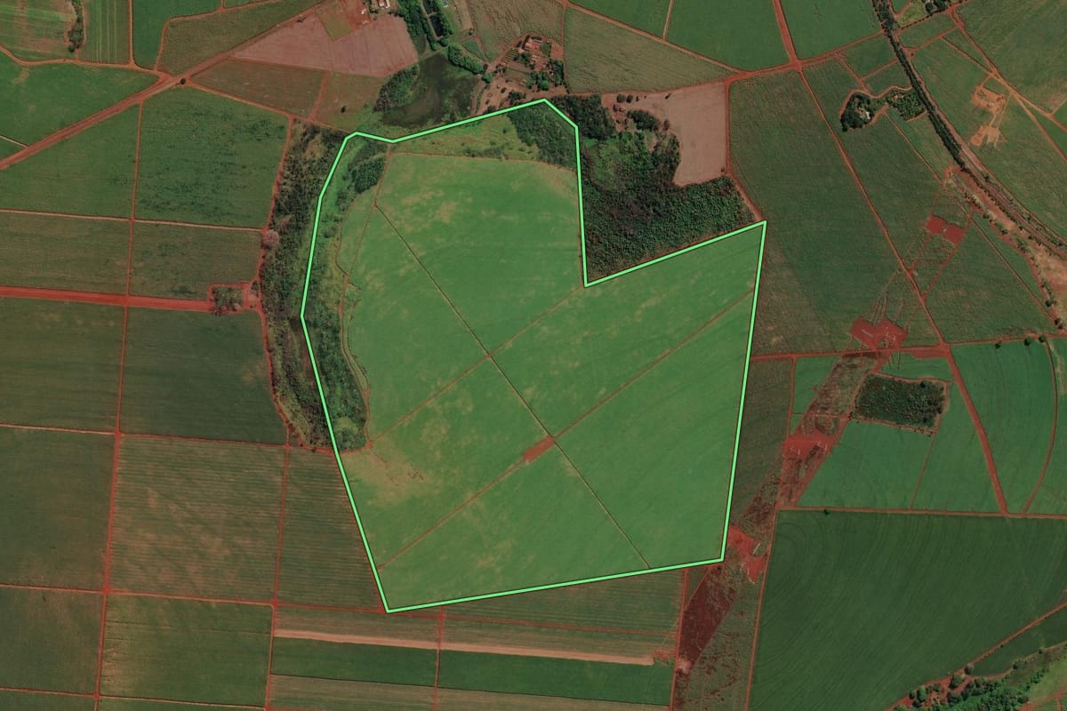 Imagem de satélite do imóvel rural em Ituverava (SP), com o contorno declarado no CAR desenhado por cima.