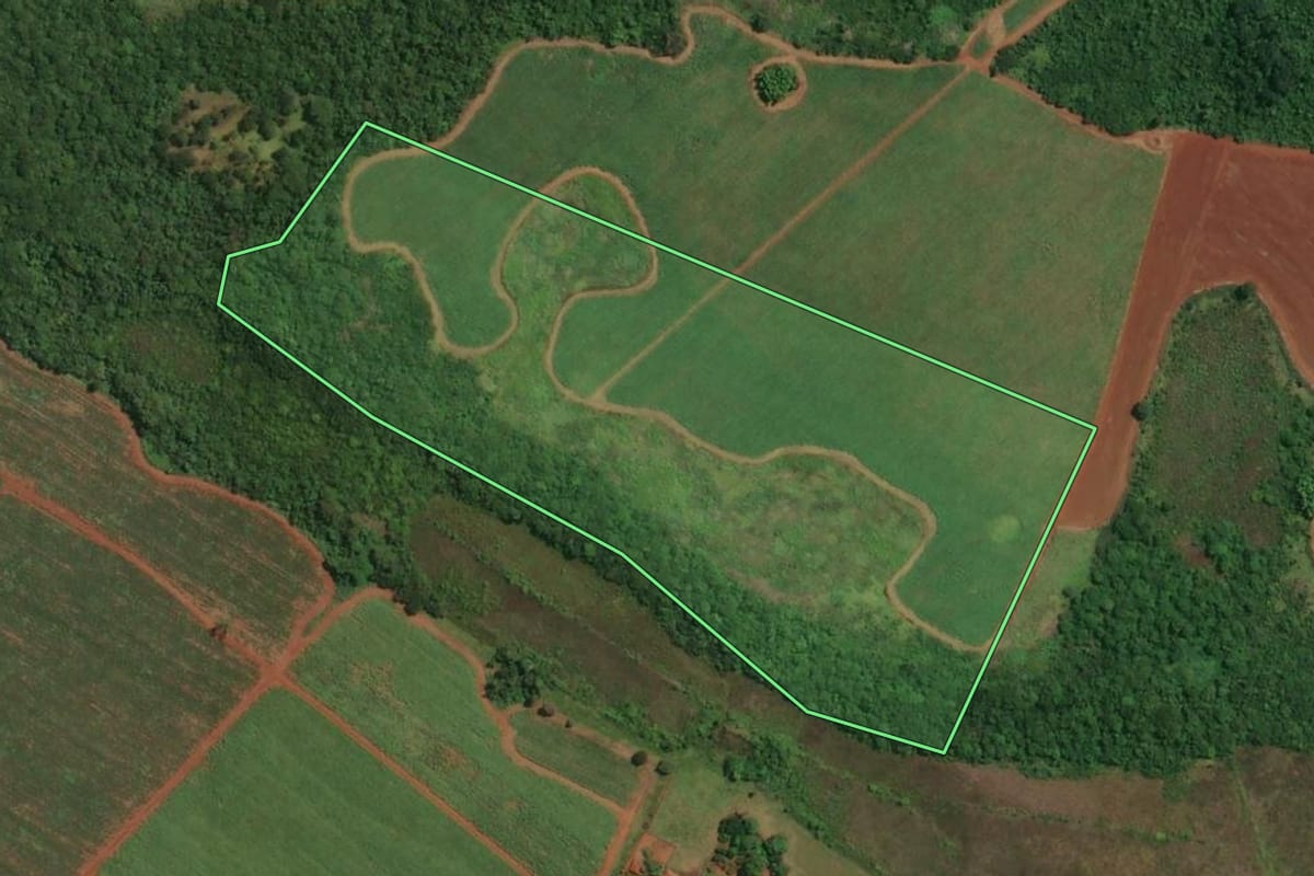 Imagem de satélite do imóvel rural em Ituverava (SP), com o contorno declarado no CAR desenhado por cima.