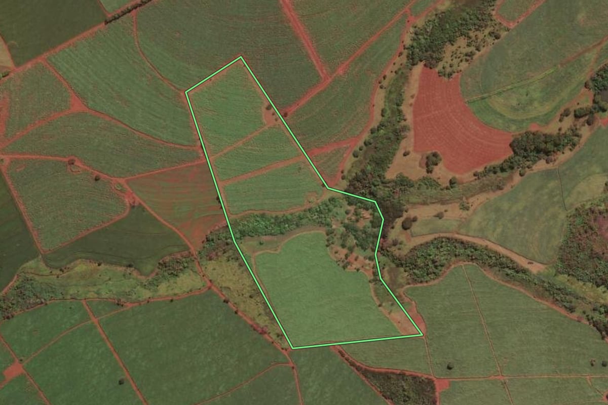 Imagem de satélite do imóvel rural em Ituverava (SP), com o contorno declarado no CAR desenhado por cima.
