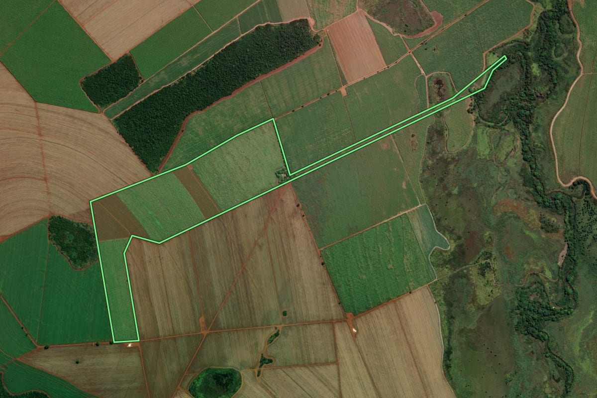 Imagem de satélite do imóvel rural em Ituverava (SP), com o contorno declarado no CAR desenhado por cima.