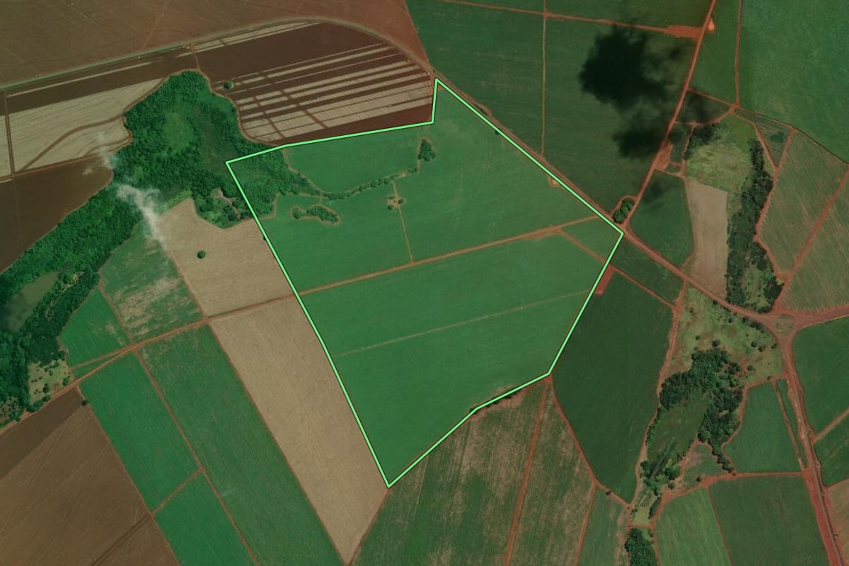 Imagem de satélite do imóvel rural em Ituverava (SP), com o contorno declarado no CAR desenhado por cima.