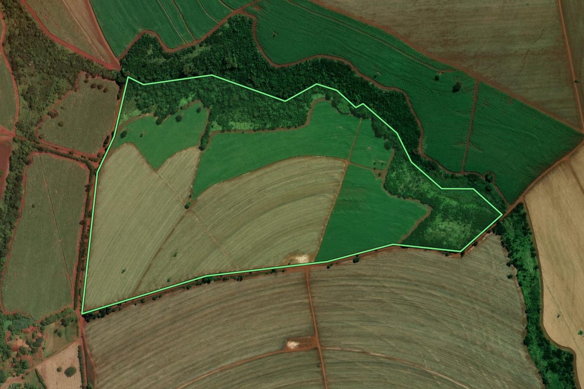 Imagem de satélite do imóvel rural em Ituverava (SP), com o contorno declarado no CAR desenhado por cima.
