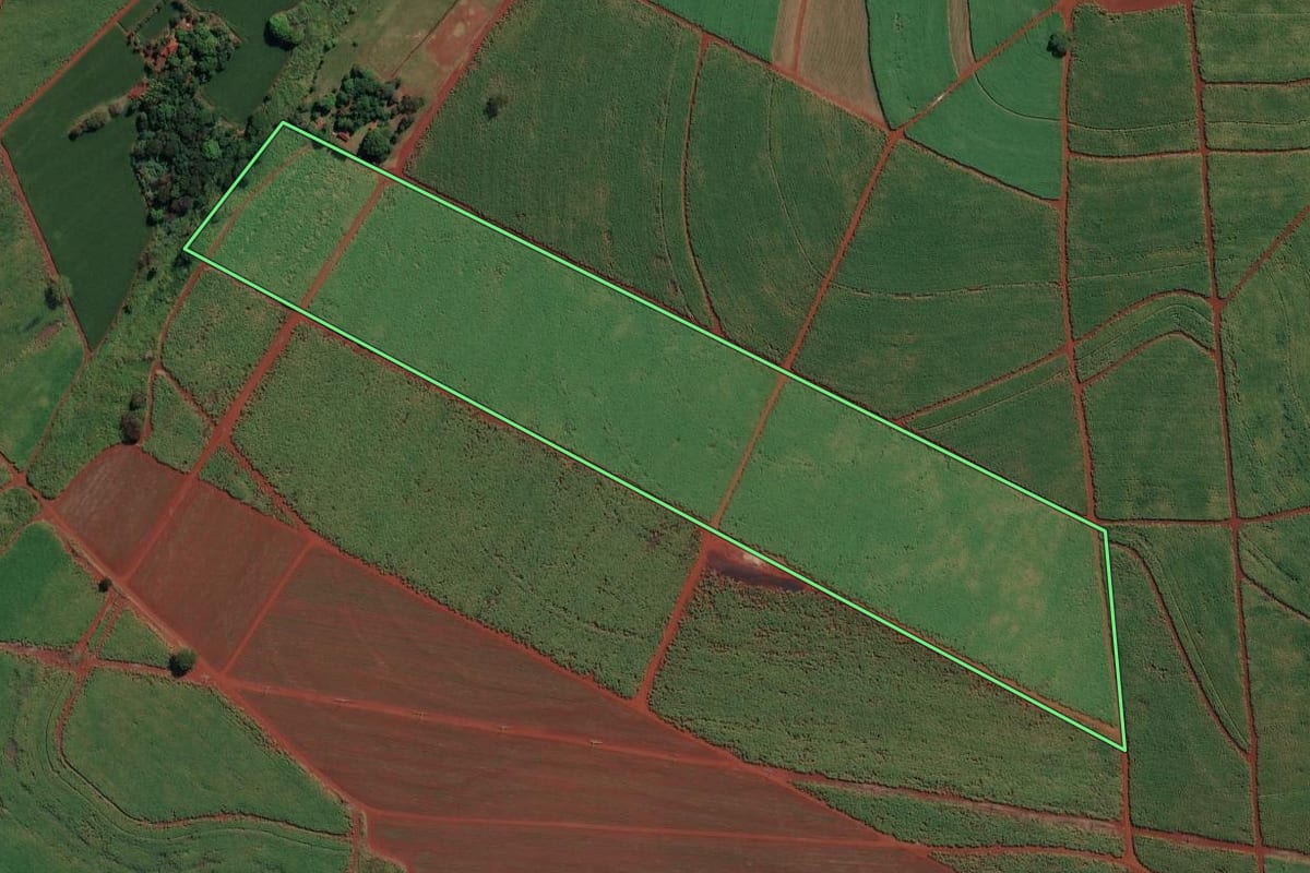 Imagem de satélite do imóvel rural em Ituverava (SP), com o contorno declarado no CAR desenhado por cima.