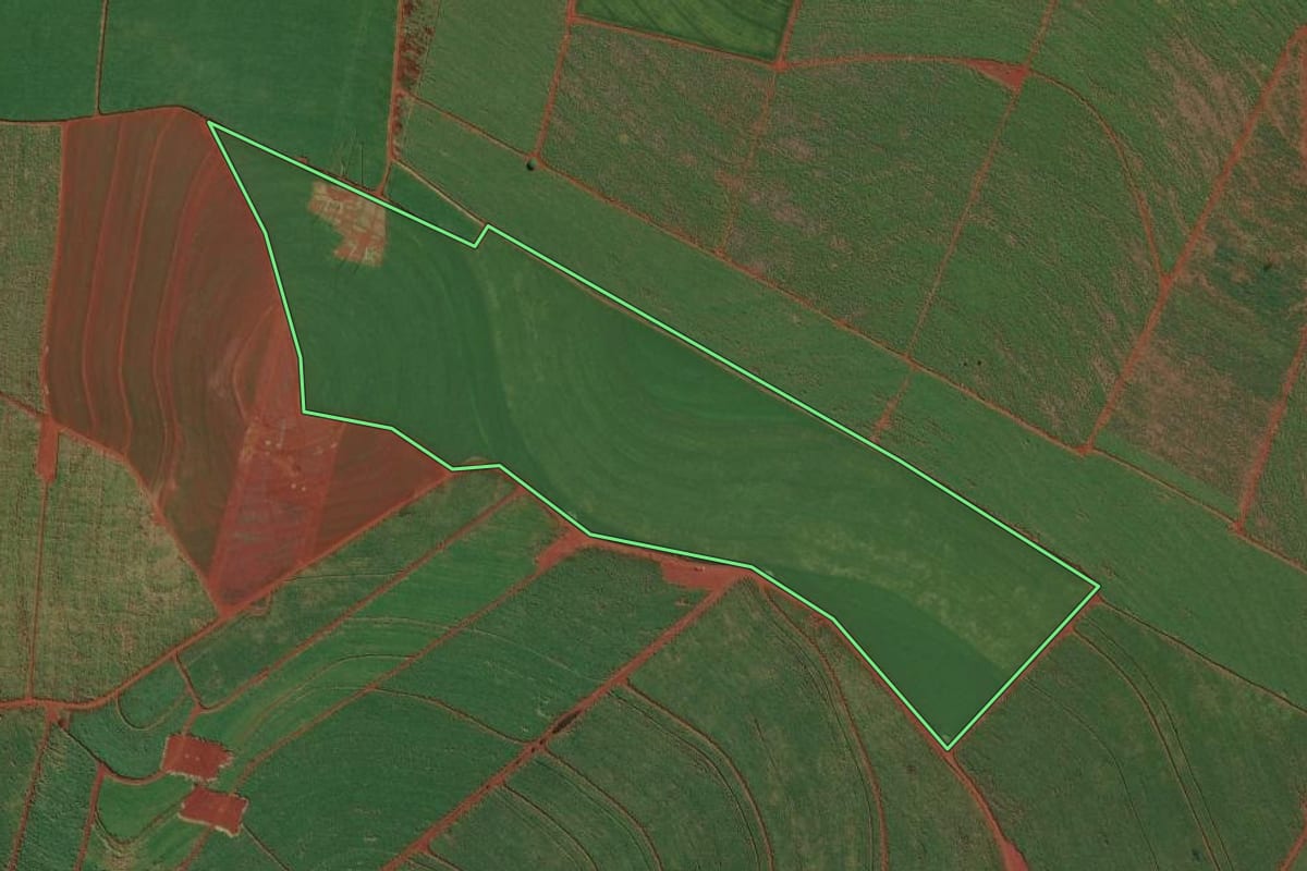 Imagem de satélite do imóvel rural em Ituverava (SP), com o contorno declarado no CAR desenhado por cima.