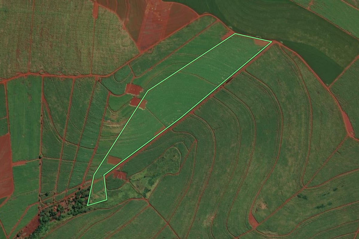 Imagem de satélite do imóvel rural em Ituverava (SP), com o contorno declarado no CAR desenhado por cima.
