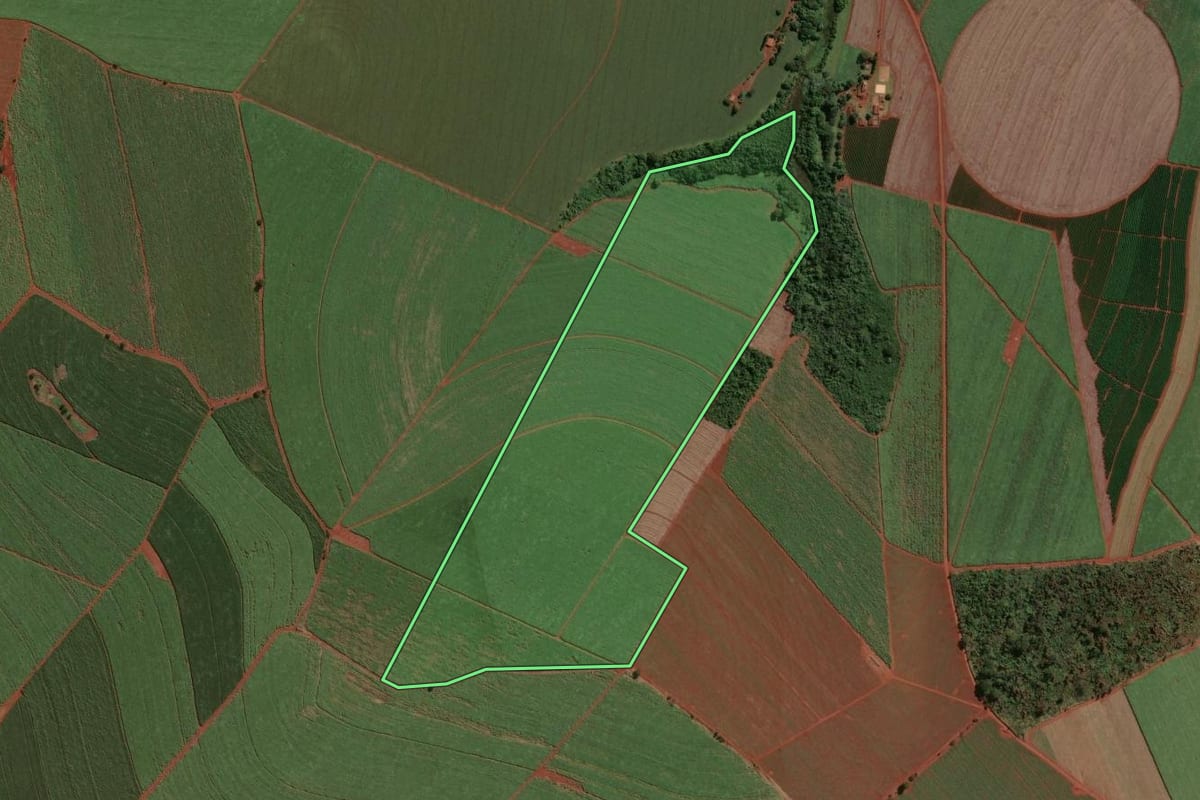 Imagem de satélite do imóvel rural em Ituverava (SP), com o contorno declarado no CAR desenhado por cima.