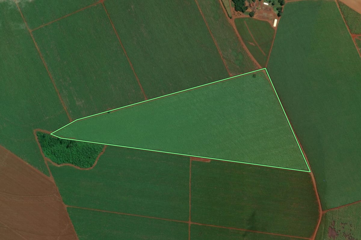 Imagem de satélite do imóvel rural em Ituverava (SP), com o contorno declarado no CAR desenhado por cima.
