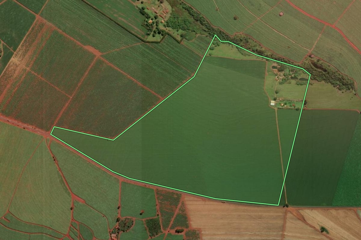 Imagem de satélite do imóvel rural em Ituverava (SP), com o contorno declarado no CAR desenhado por cima.