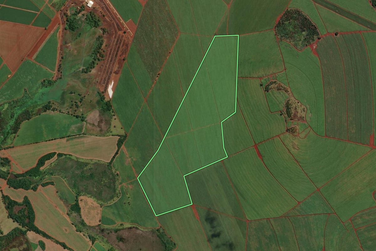 Imagem de satélite do imóvel rural em Ituverava (SP), com o contorno declarado no CAR desenhado por cima.