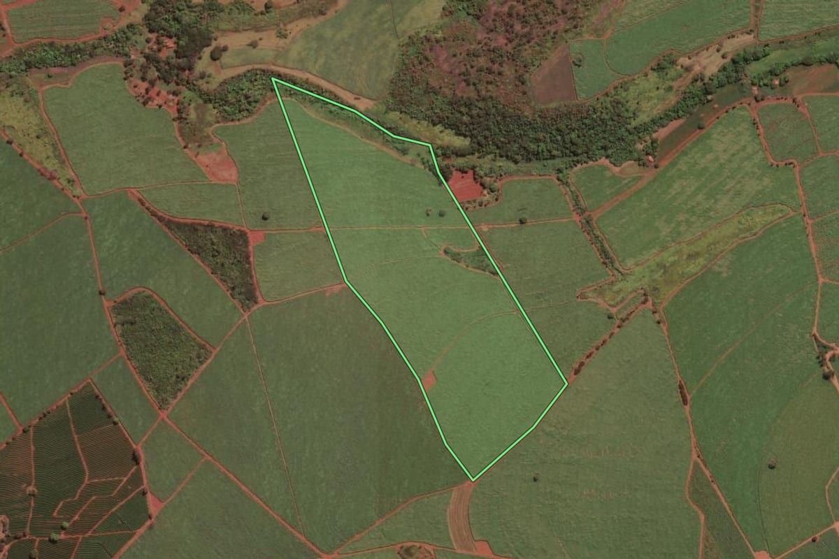 Imagem de satélite do imóvel rural em Ituverava (SP), com o contorno declarado no CAR desenhado por cima.