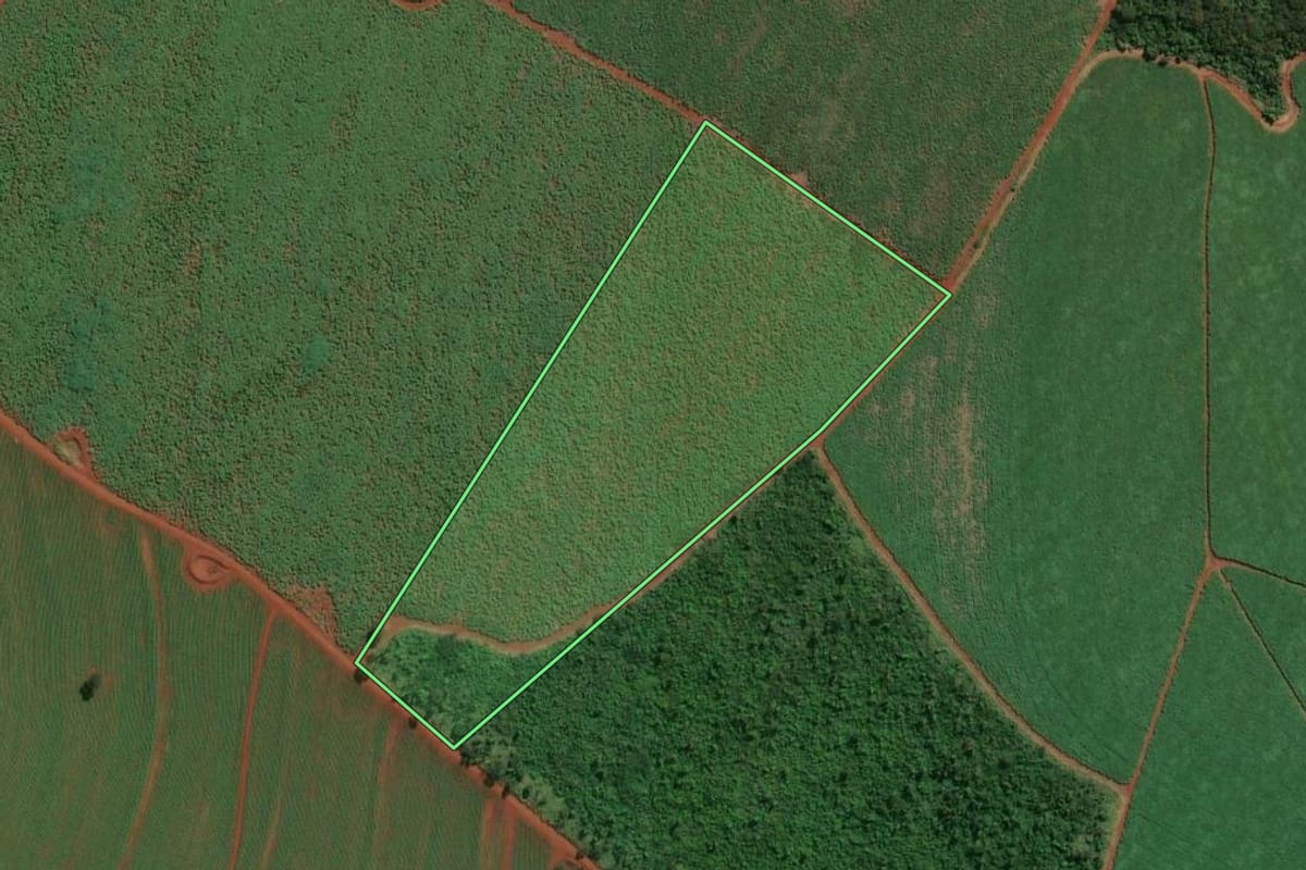 Imagem de satélite do imóvel rural em Ituverava (SP), com o contorno declarado no CAR desenhado por cima.