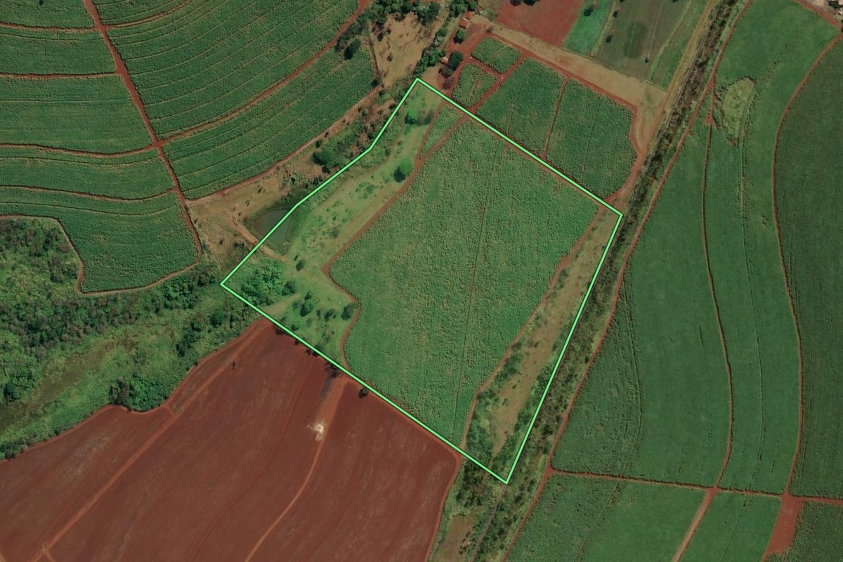 Imagem de satélite do imóvel rural em Ituverava (SP), com o contorno declarado no CAR desenhado por cima.