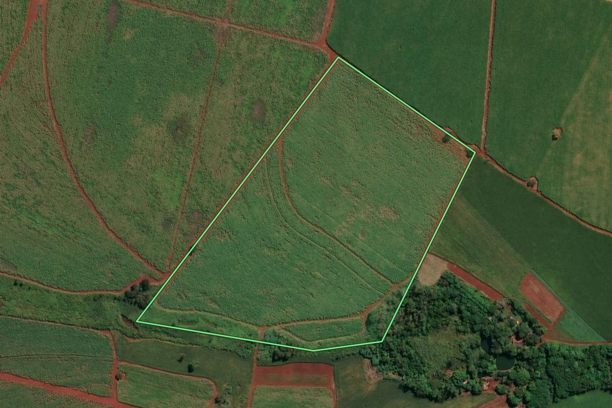 Imagem de satélite do imóvel rural em Ituverava (SP), com o contorno declarado no CAR desenhado por cima.