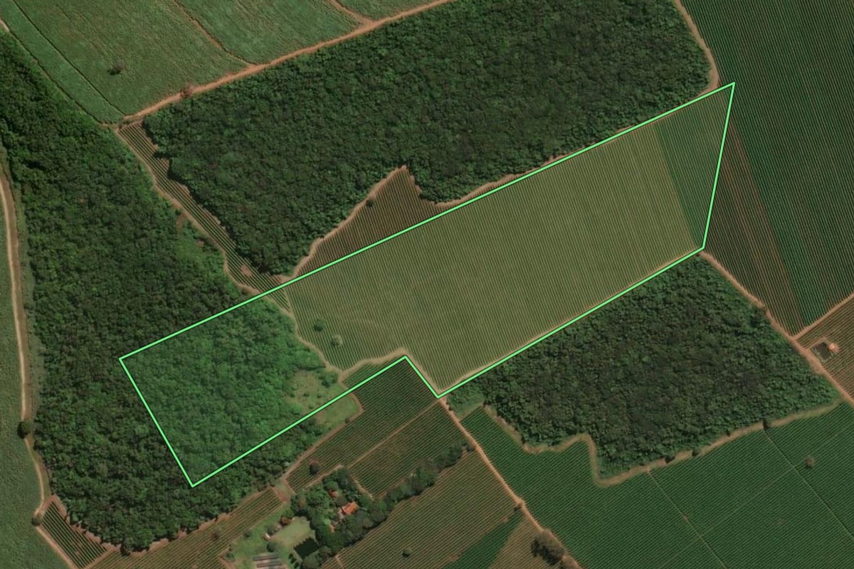Imagem de satélite do imóvel rural em Ituverava (SP), com o contorno declarado no CAR desenhado por cima.