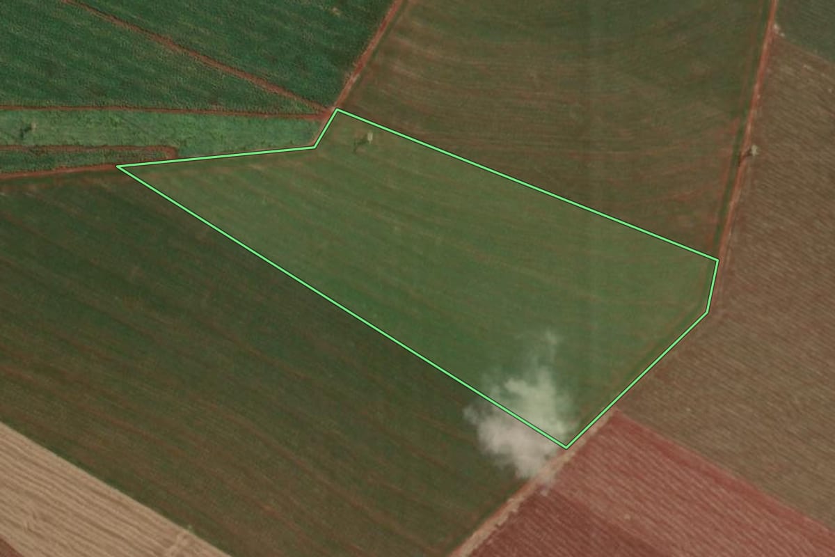 Imagem de satélite do imóvel rural em Ituverava (SP), com o contorno declarado no CAR desenhado por cima.