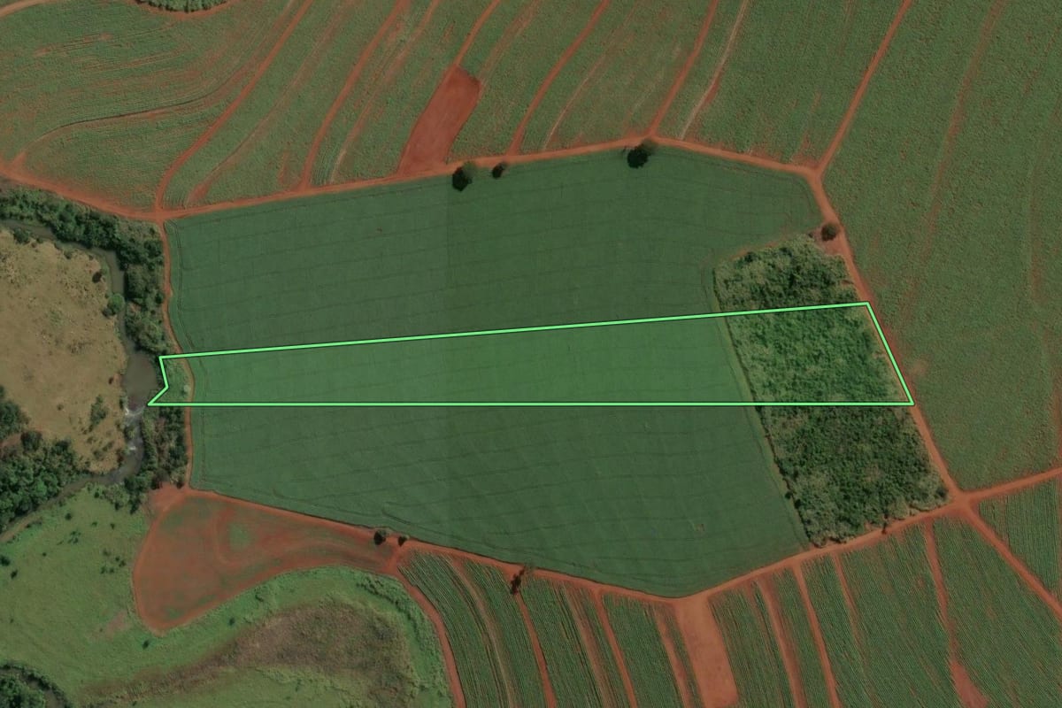 Imagem de satélite do imóvel rural em Ituverava (SP), com o contorno declarado no CAR desenhado por cima.