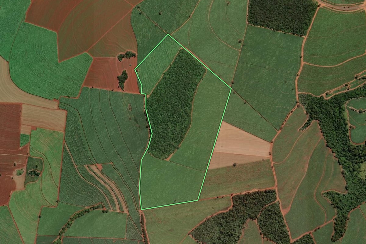 Imagem de satélite do imóvel rural em Ituverava (SP), com o contorno declarado no CAR desenhado por cima.