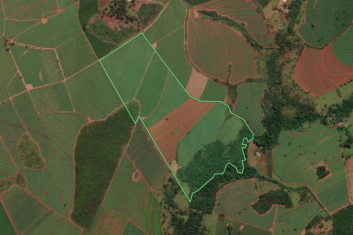Imagem de satélite do imóvel rural em Jeriquara (SP), com o contorno declarado no CAR desenhado por cima.
