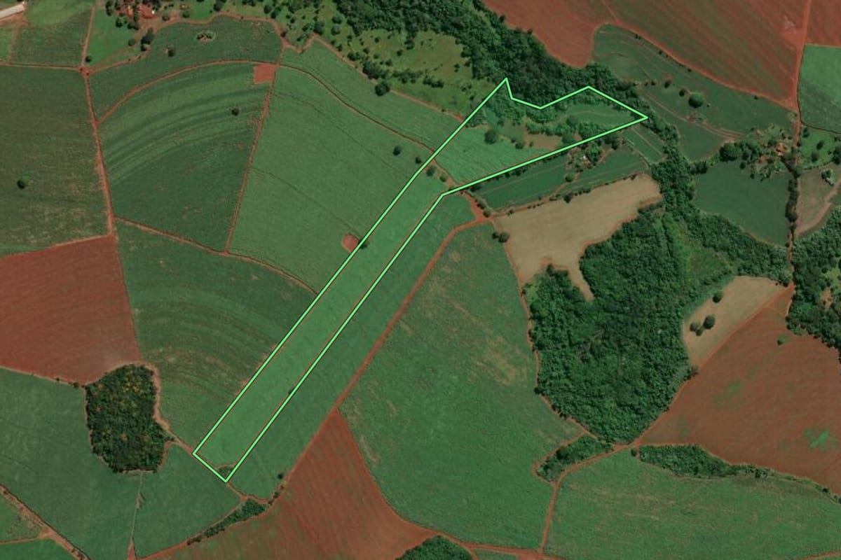 Imagem de satélite do imóvel rural em Ituverava (SP), com o contorno declarado no CAR desenhado por cima.