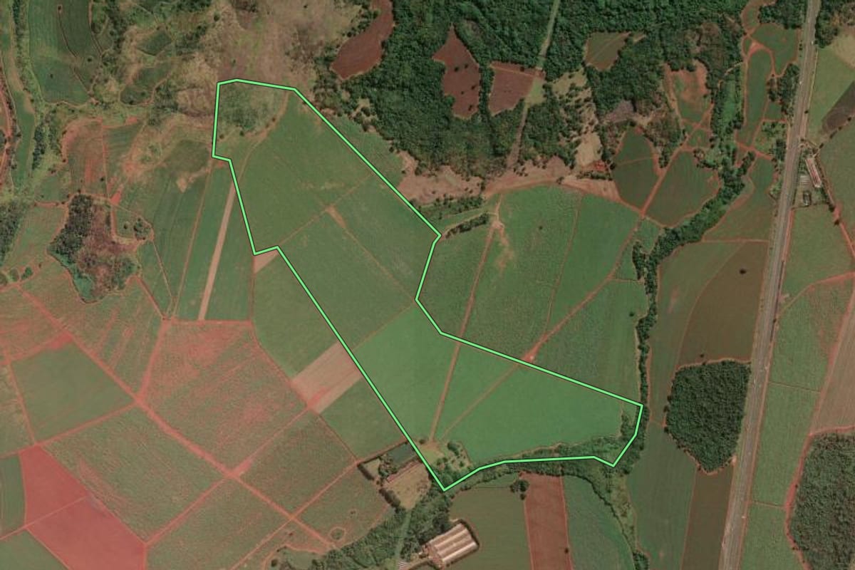 Imagem de satélite do imóvel rural em Ituverava (SP), com o contorno declarado no CAR desenhado por cima.