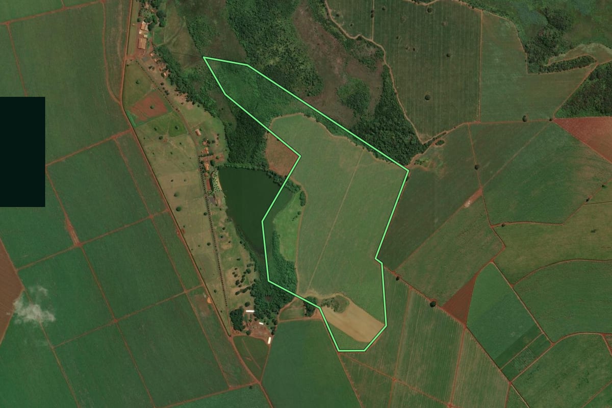 Imagem de satélite do imóvel rural em Ituverava (SP), com o contorno declarado no CAR desenhado por cima.