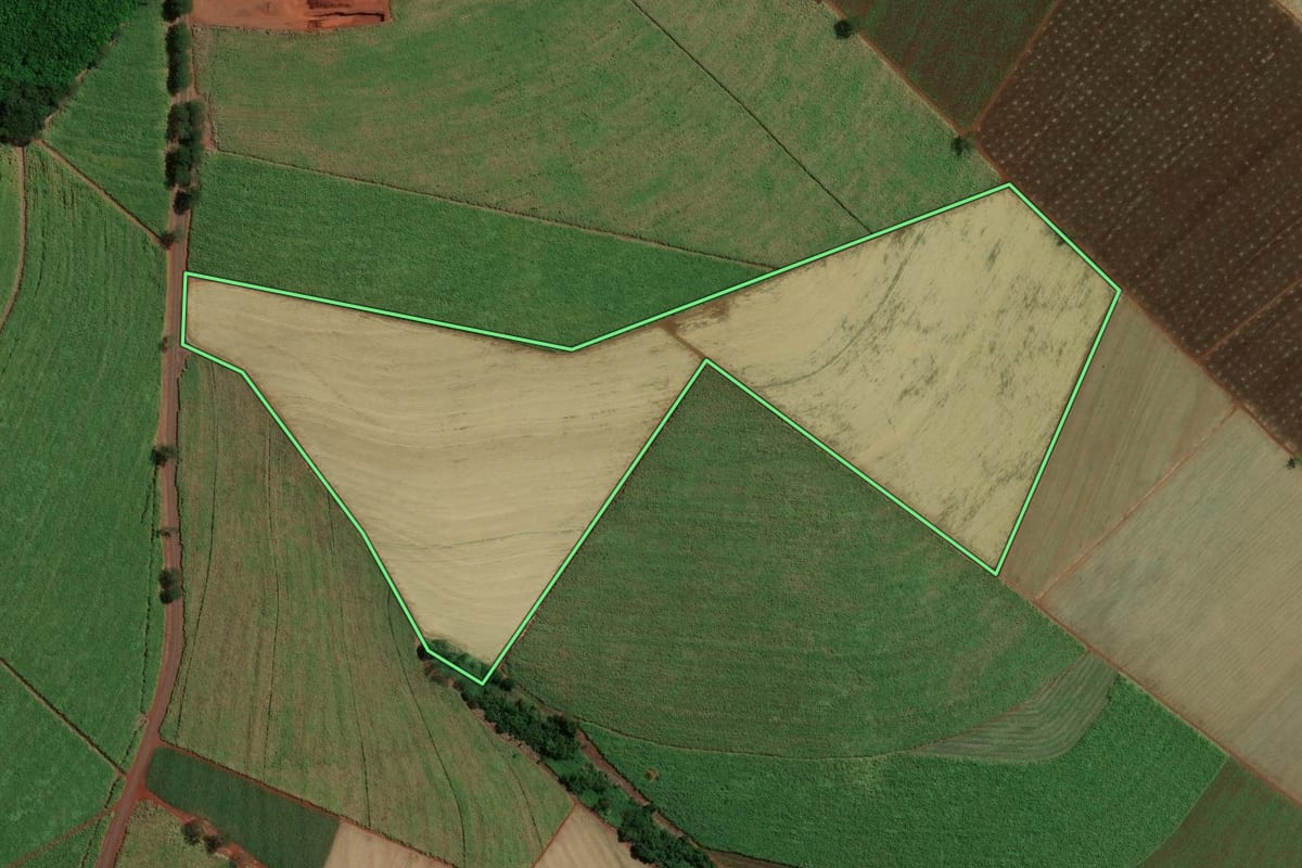 Imagem de satélite do imóvel rural em Jaborandi (SP), com o contorno declarado no CAR desenhado por cima.