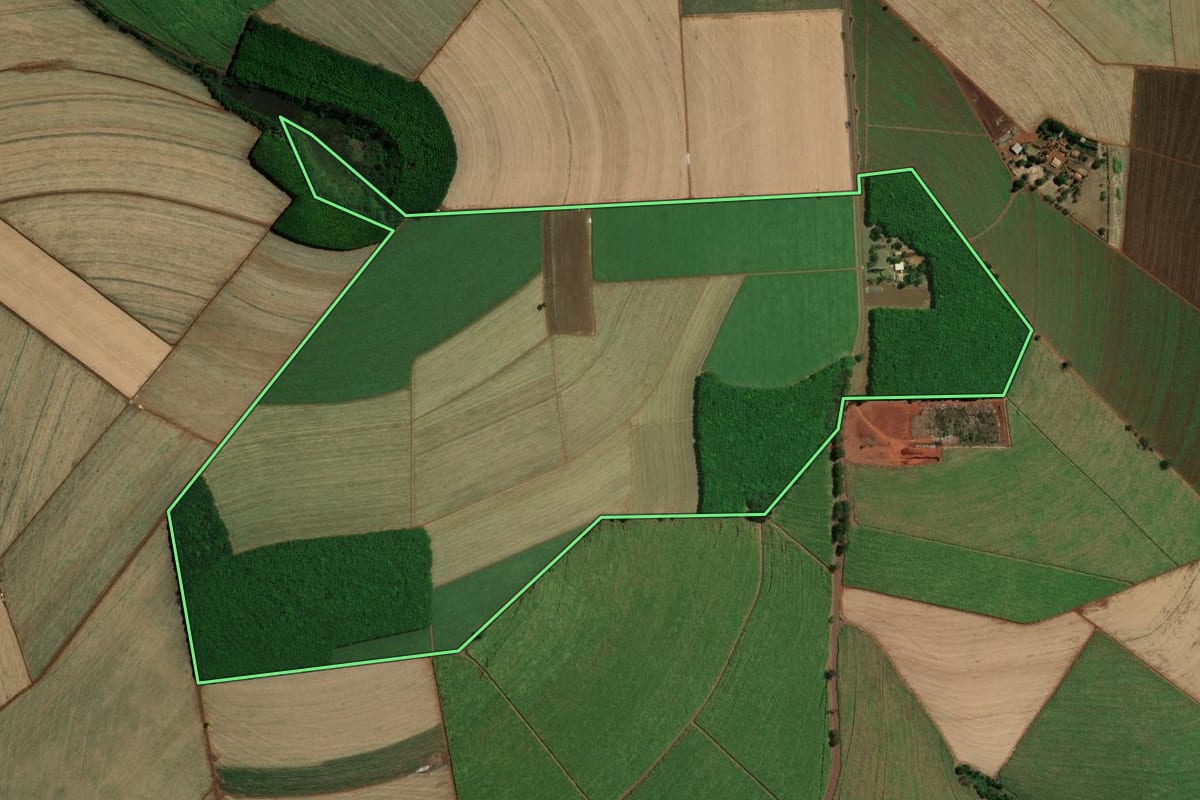 Imagem de satélite do imóvel rural em Jaborandi (SP), com o contorno declarado no CAR desenhado por cima.