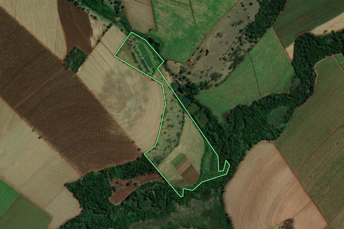 Imagem de satélite do imóvel rural em Jaborandi (SP), com o contorno declarado no CAR desenhado por cima.