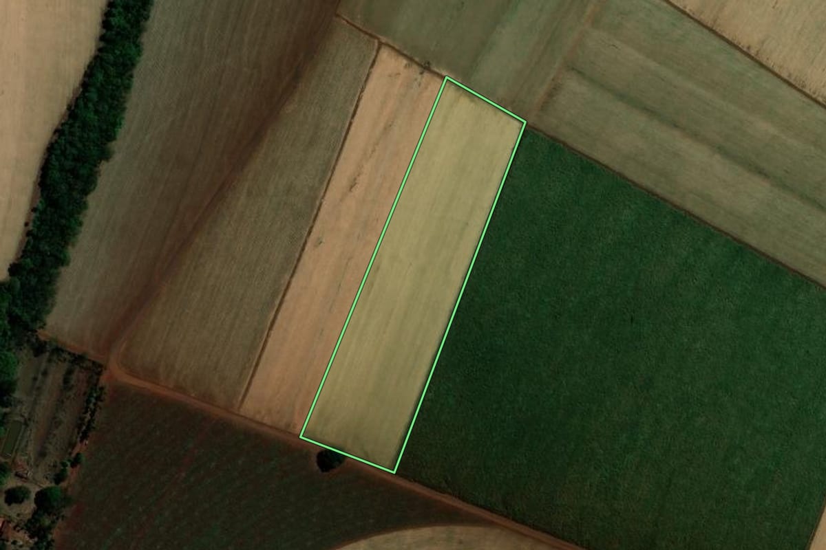 Imagem de satélite do imóvel rural em Jaborandi (SP), com o contorno declarado no CAR desenhado por cima.