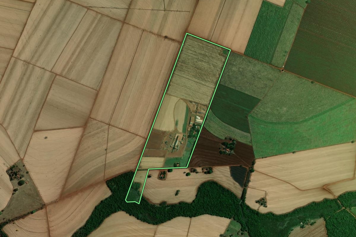 Imagem de satélite do imóvel rural em Jaborandi (SP), com o contorno declarado no CAR desenhado por cima.