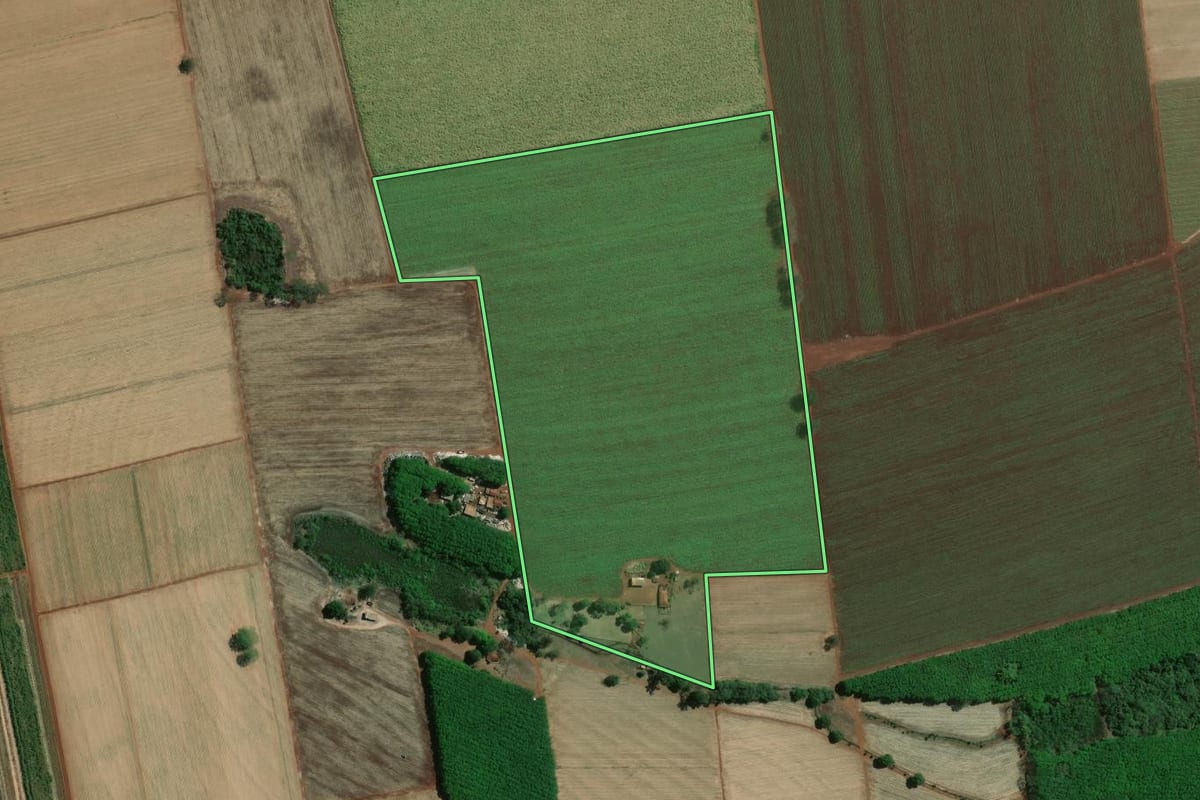 Imagem de satélite do imóvel rural em Jaborandi (SP), com o contorno declarado no CAR desenhado por cima.